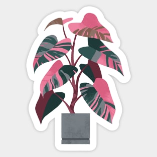 Philodendron pink princess Sticker